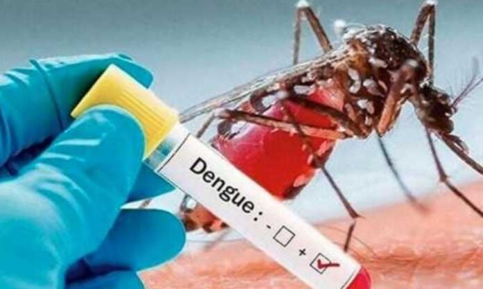 ডেঙ্গুর শঙ্কা বাড়ছে